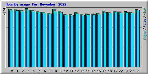 Hourly usage for November 2022